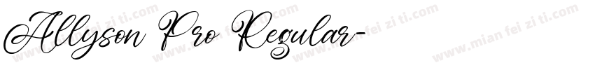 Allyson Pro Regular字体转换